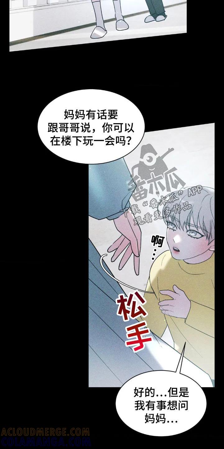《反向协议》第42章：回忆 第25页