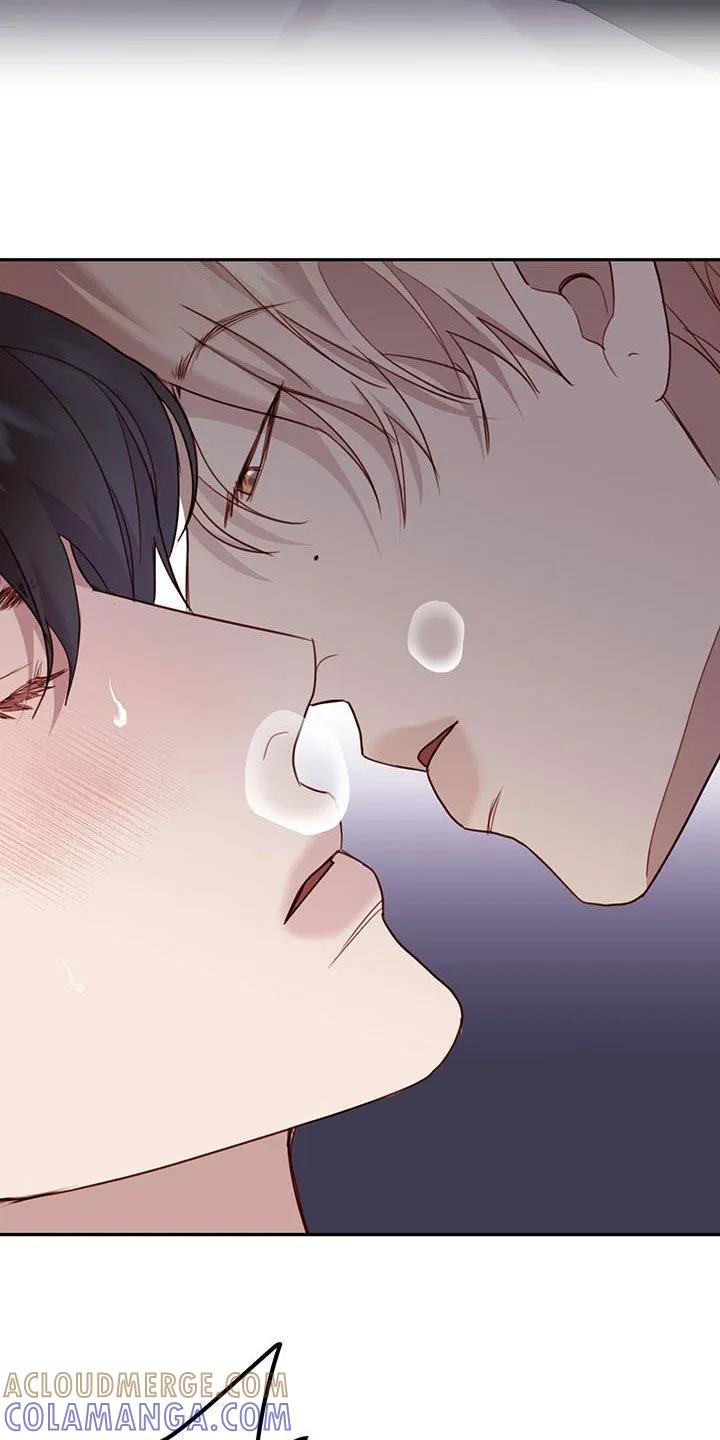 《幻想烛火》第45章：设定 第29页