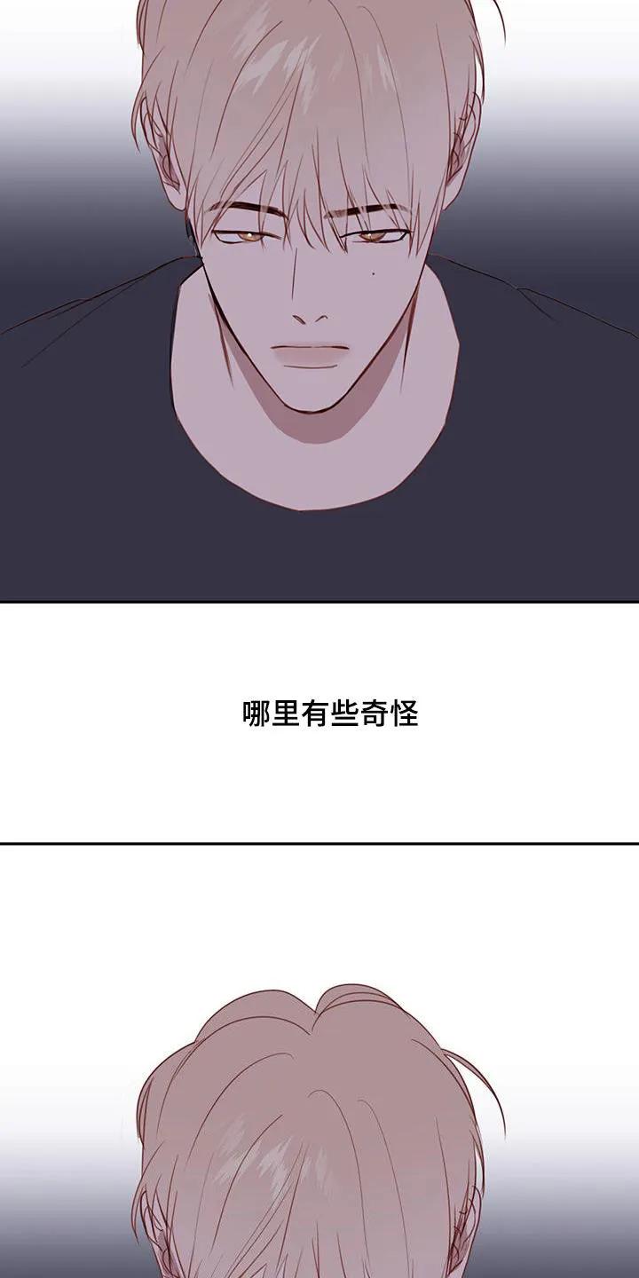 《幻想烛火》第45章：设定 第8页