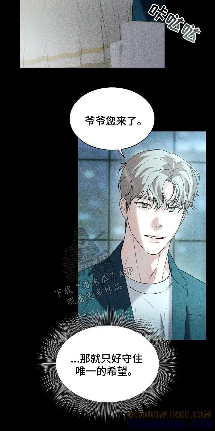 《反向协议》第49章：唯一的希望 第17页