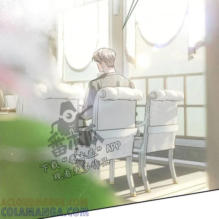 《反向协议》第56章：【第二季】提议 第11页