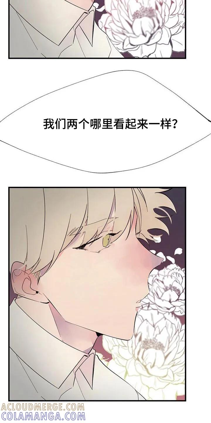 《婚恋天魔》第7章：一样 第13页