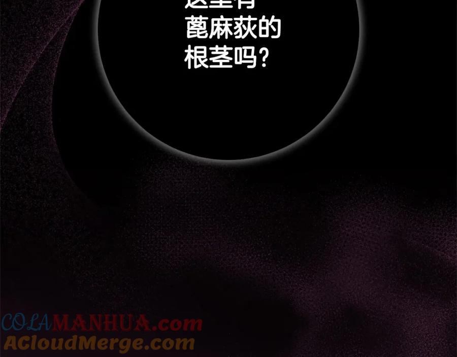 混球的姐姐 第19话 不能随意悔婚？！ 第205页