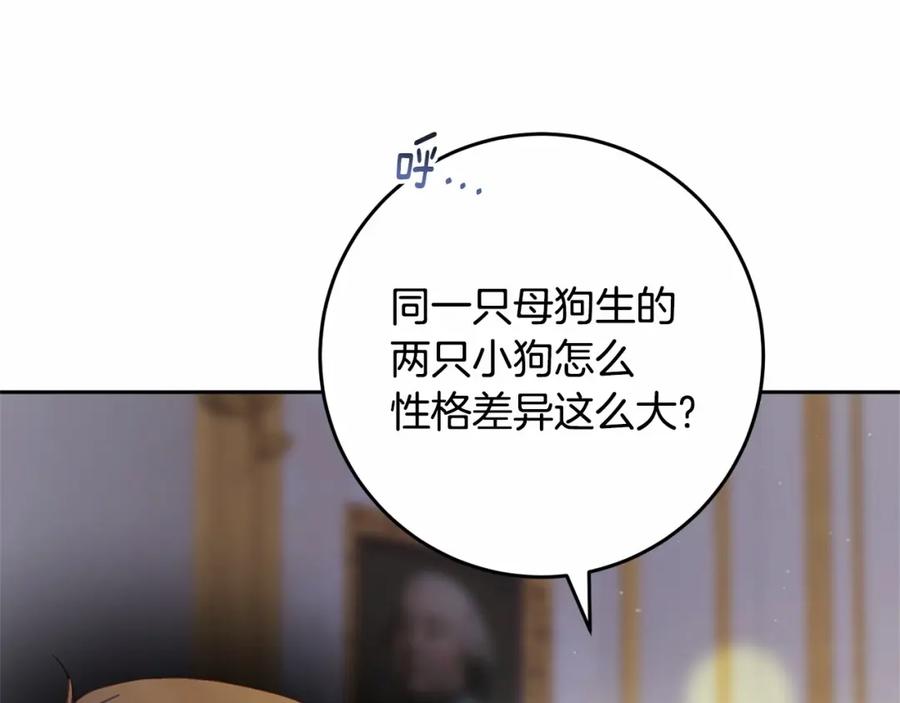 混球的姐姐 第32话 生日邀请函 第79页