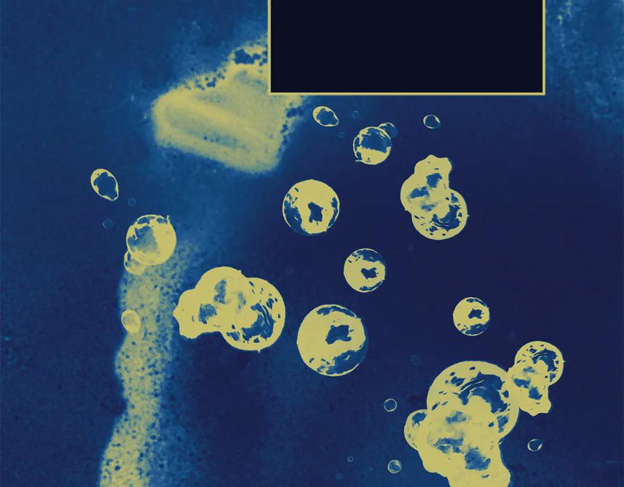 不幸的骑士，请和姐姐恋爱吧 - 第46话 痛苦的真相 - 第238张图