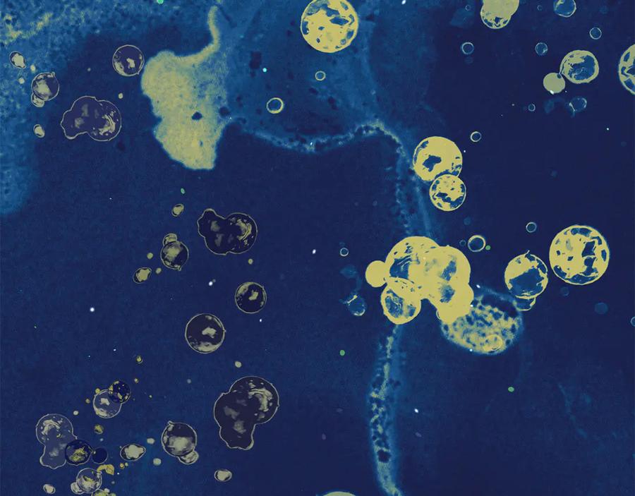 不幸的骑士，请和姐姐恋爱吧 - 第46话 痛苦的真相 - 第240张图