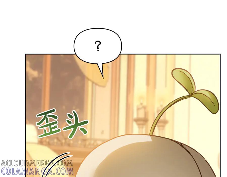 冬城的囚犯小公主 第67话 鉴定书到了 第105页