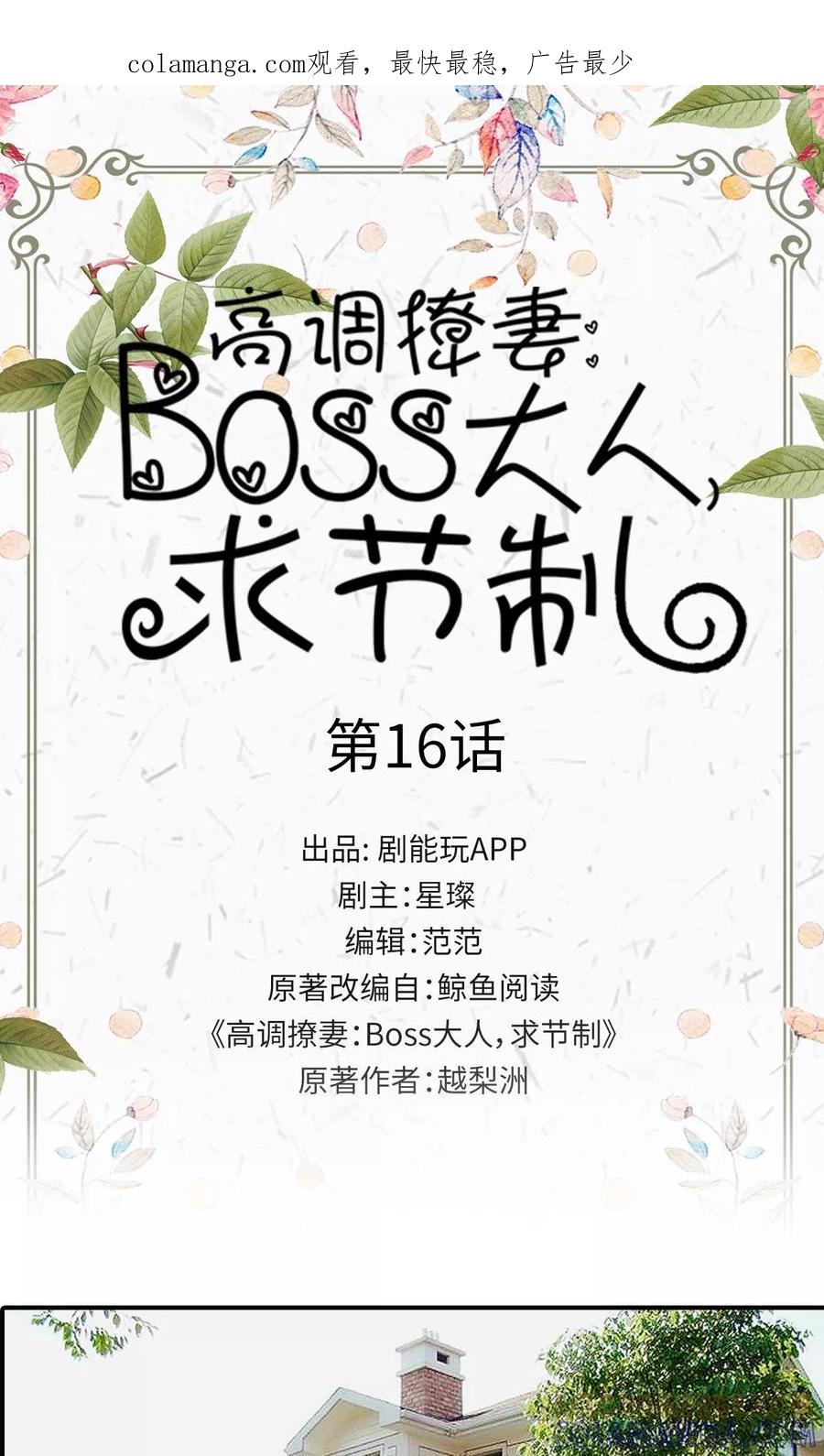 《高调撩妻：Boss大人，求节制》第16话 第1页