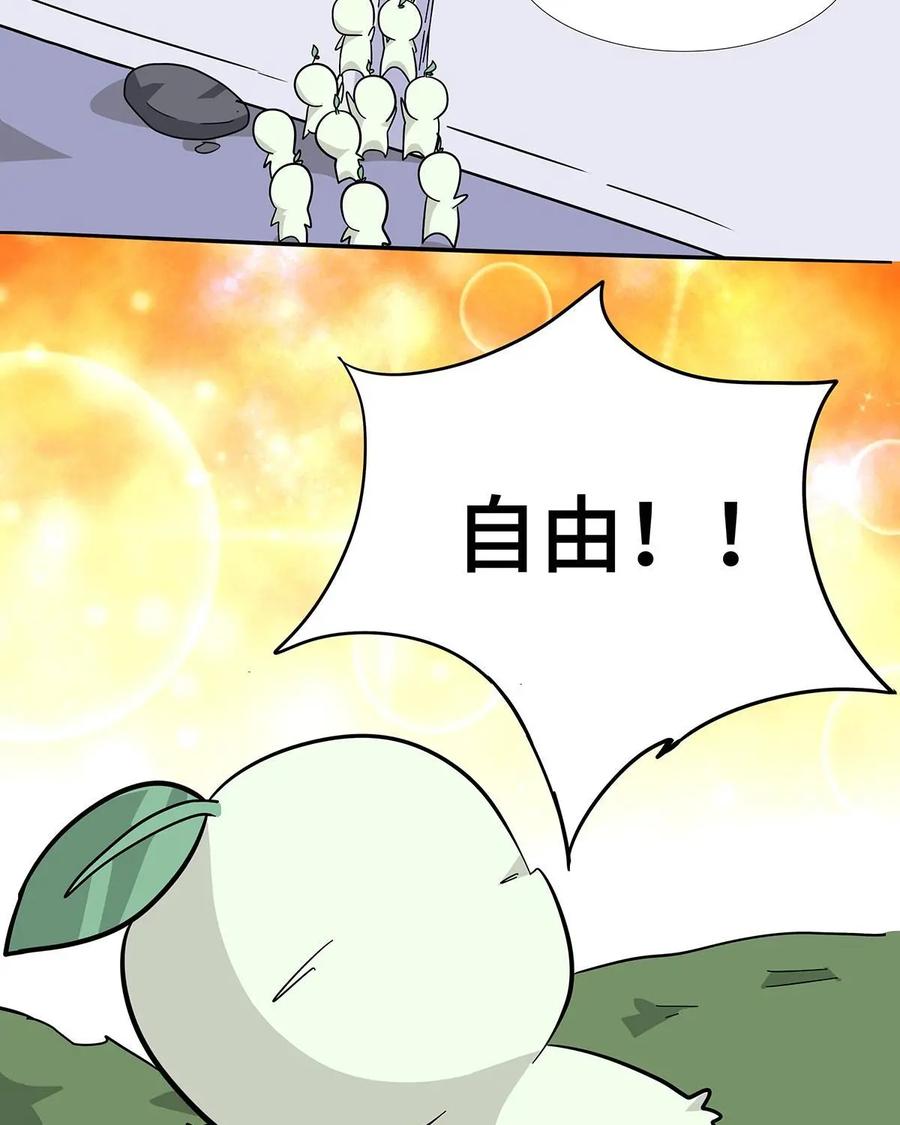 《熊猫西米路》第21话：五庄观05 第3页