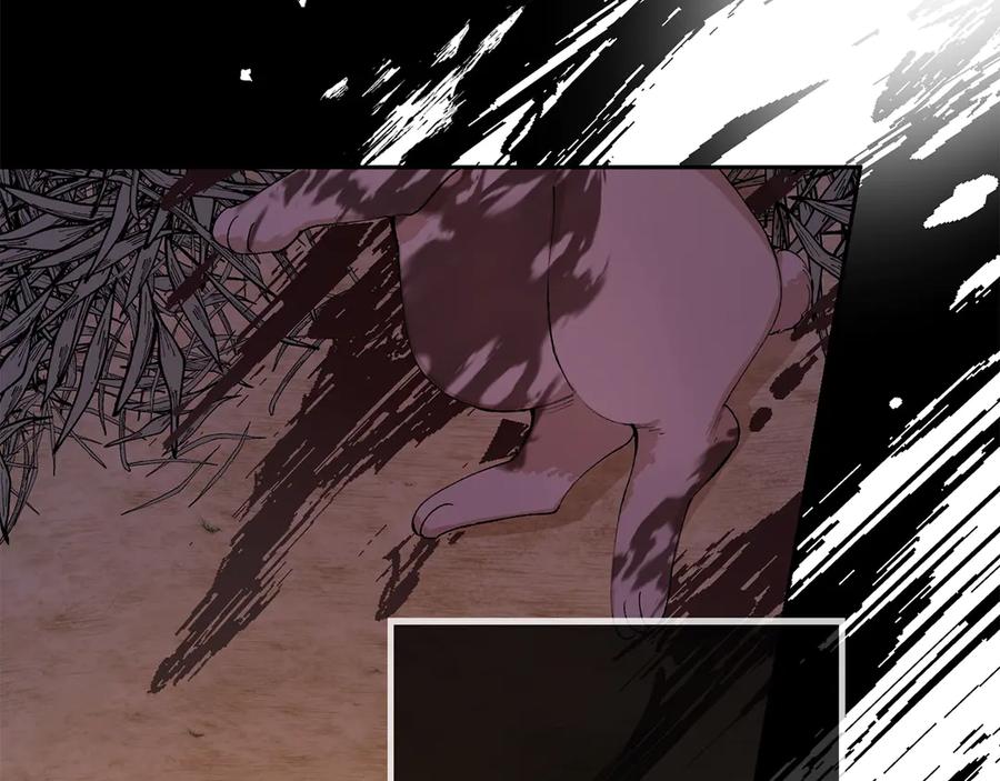 《和猛虎大人的恋爱旅行》第1话 唯一的神兽 第19页