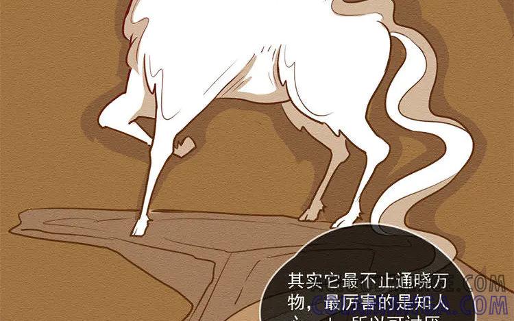 《混沌日报》第五十七话 神兽白泽 第37页
