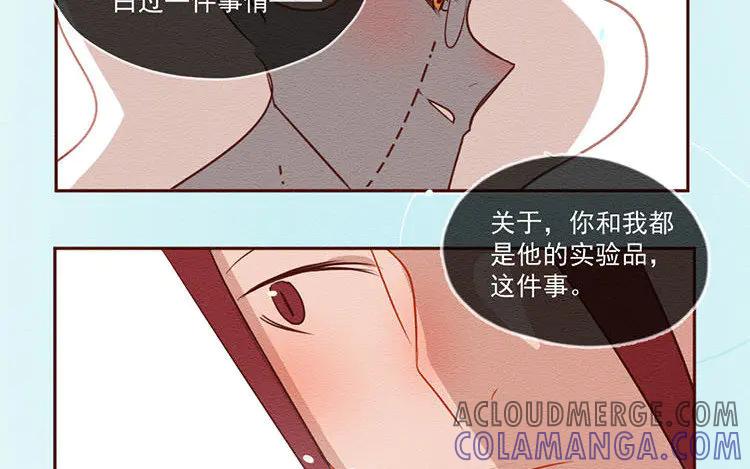 《混沌日报》第五十八话 只是棋子 第43页