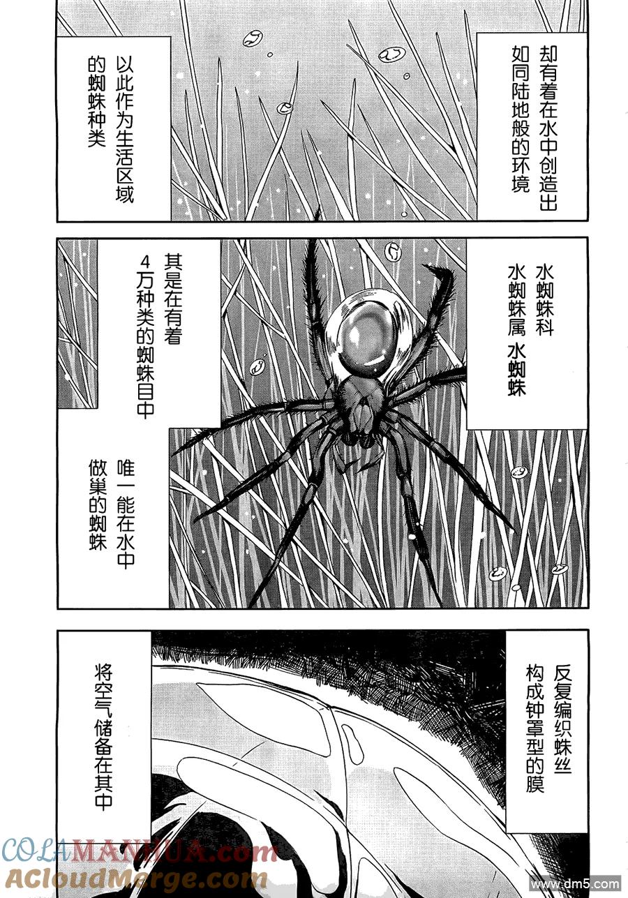 《Arachnid》第20话 公正事理乃[正义]的职责 第13页