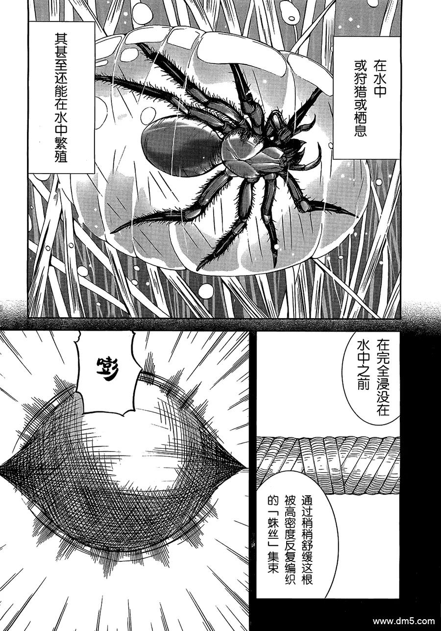 《Arachnid》第20话 公正事理乃[正义]的职责 第14页