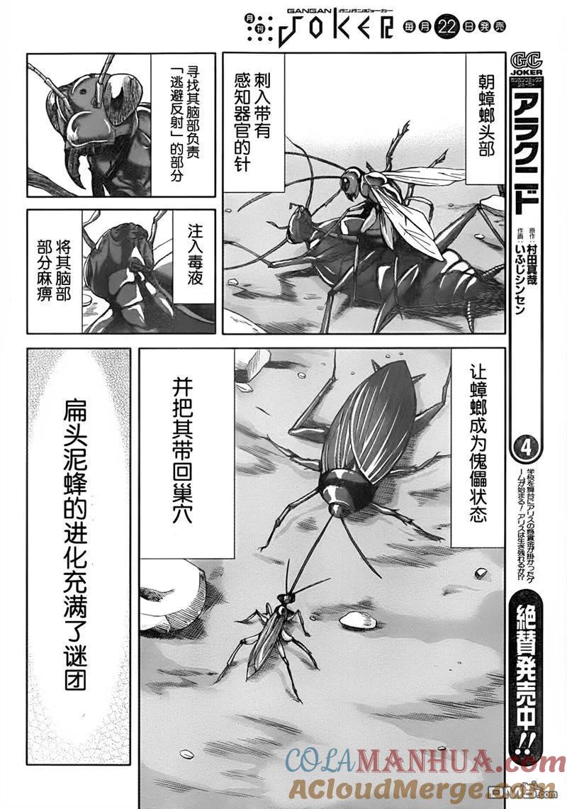 《Arachnid》第26话 要成为努力的是大姐姐你哦 第23页