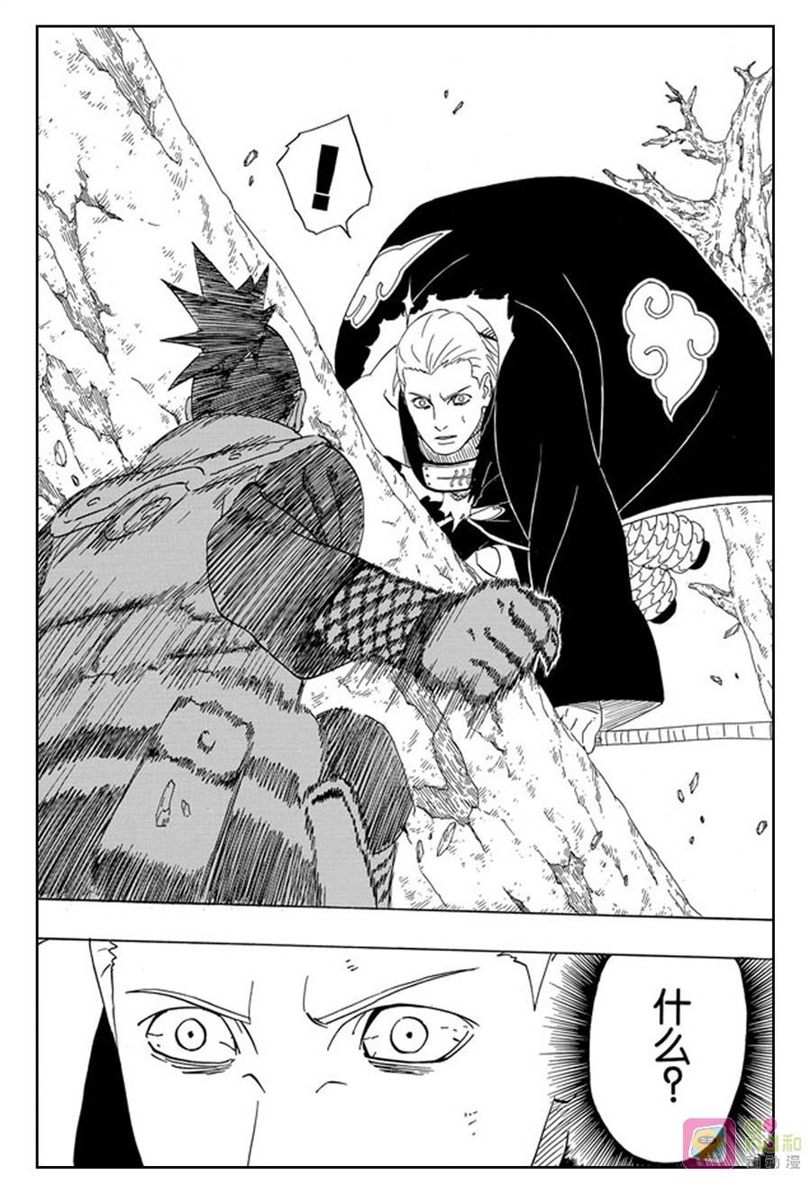 16.jpg