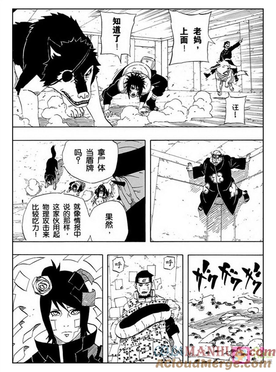 13.jpg