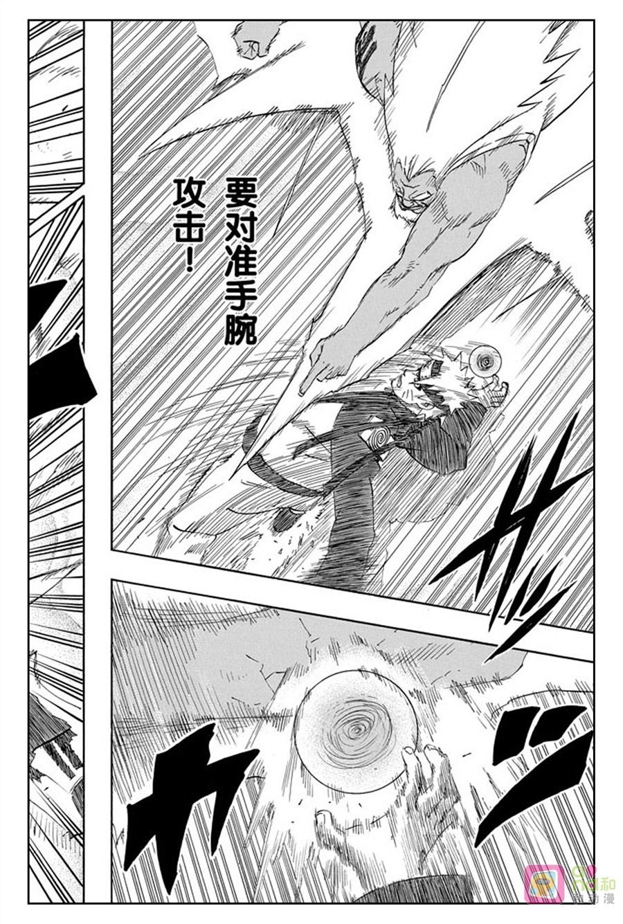 14.jpg