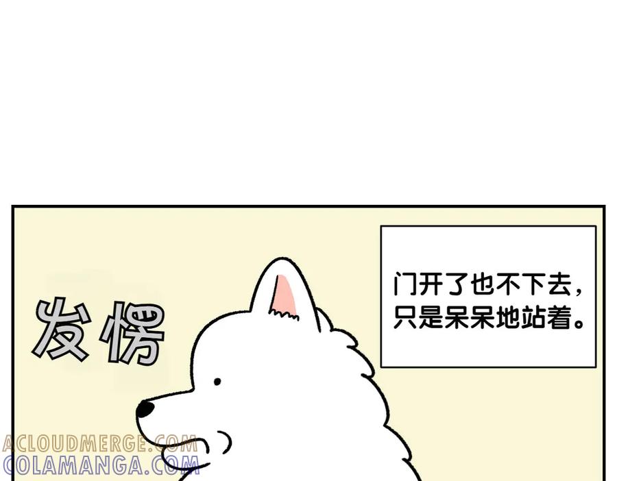 《我的狗子叫棉花》第62话 地下停车场 第37页