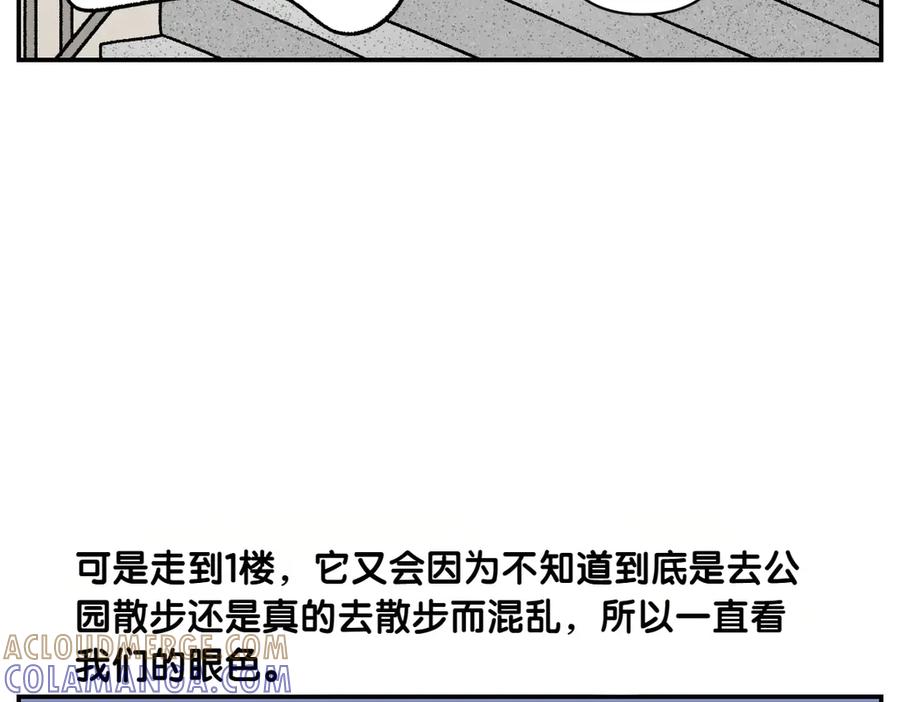 《我的狗子叫棉花》第62话 地下停车场 第28页