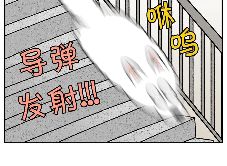 《我的狗子叫棉花》第62话 地下停车场 第32页
