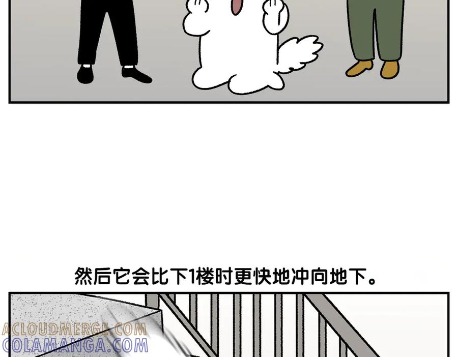 《我的狗子叫棉花》第62话 地下停车场 第31页