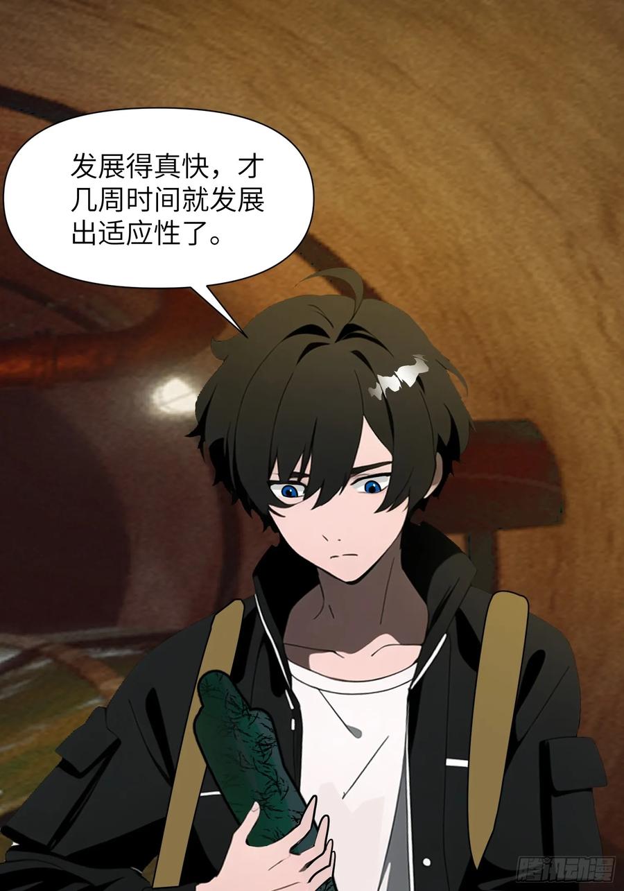 《末日独行：我的黑暗契约》14 红眼鼠王？ 第26页