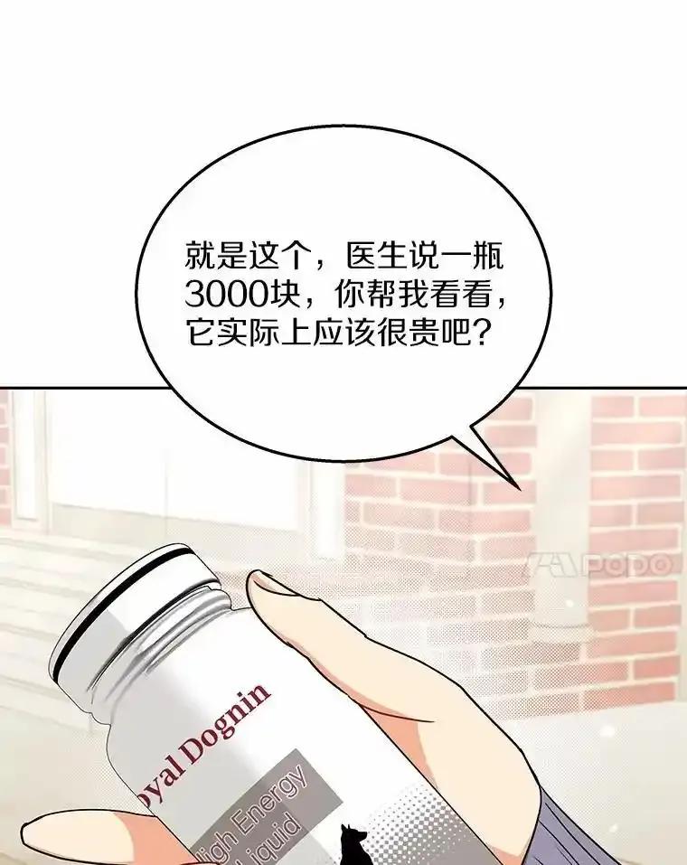 《你好？兽医先生！》67.心软的神（2） 第35页