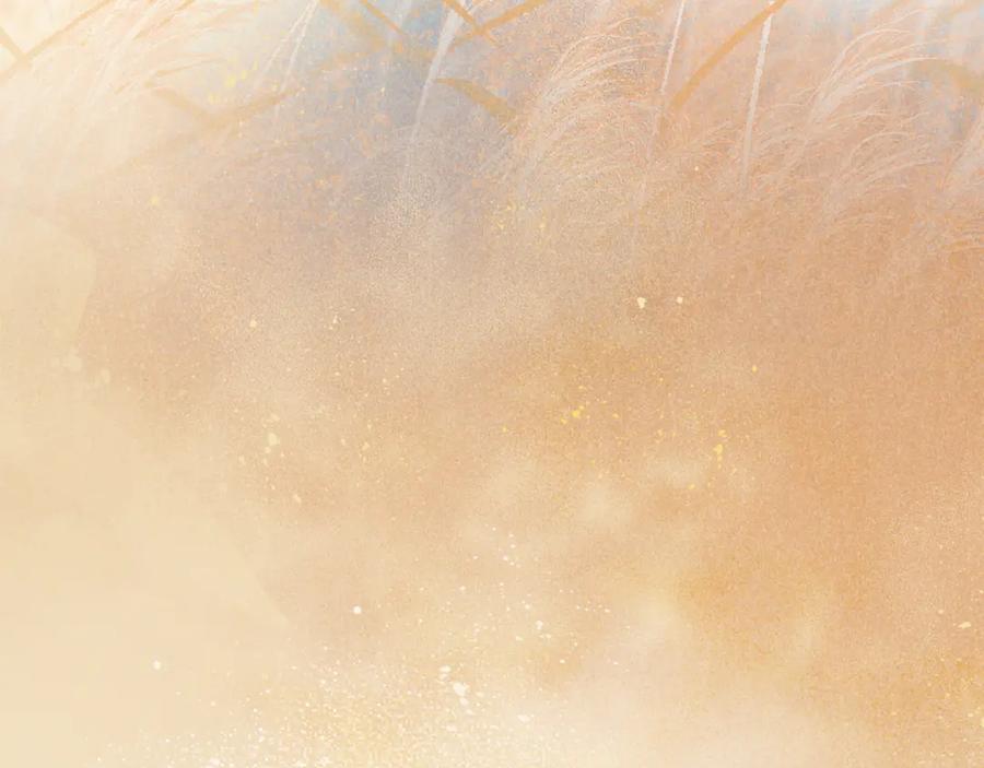 再见，我的国王 第114话 送信 第66页