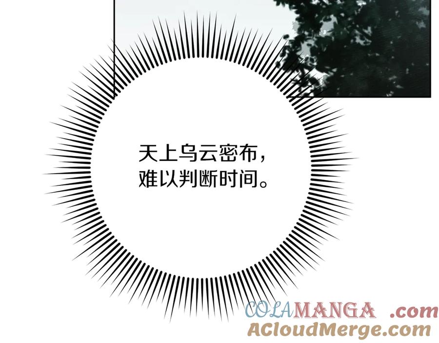 《橡树之下》第102话 神秘白马 第97页