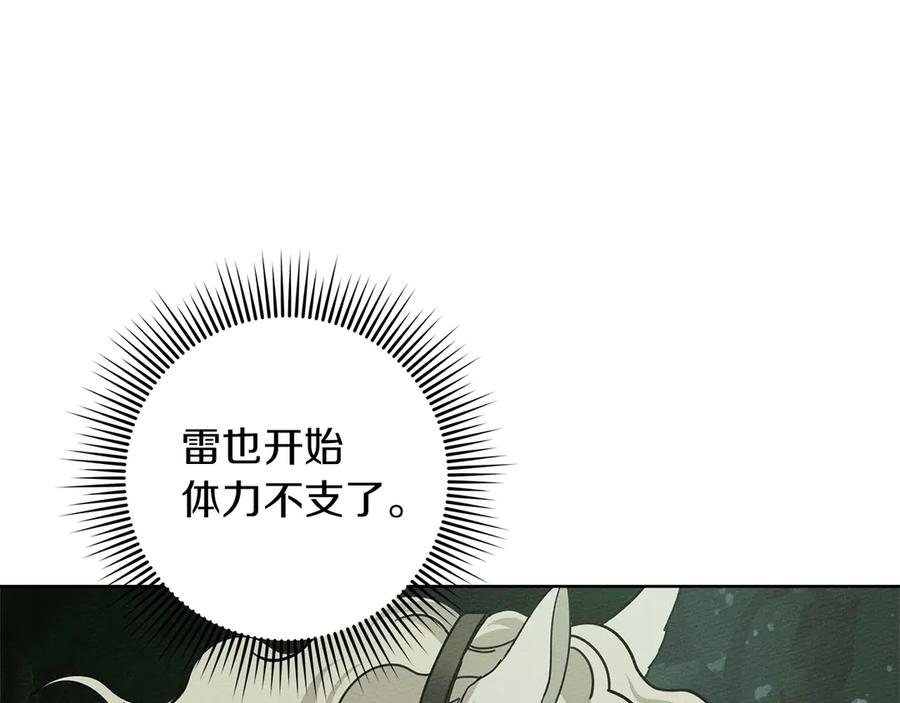 《橡树之下》第102话 神秘白马 第51页
