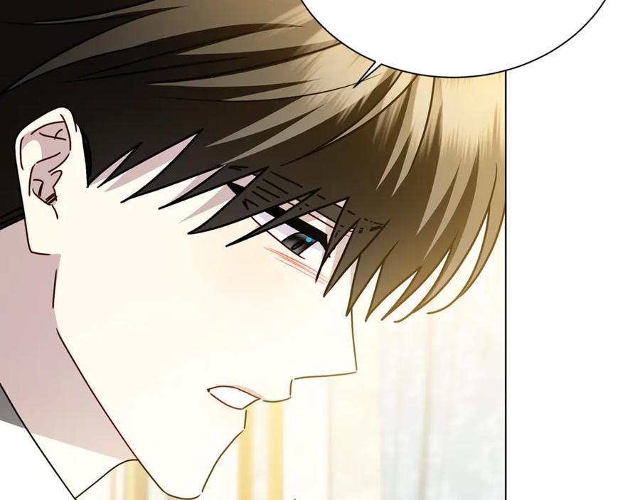 《破茧皇后》番外 第2话 慈善拍卖会 第155页