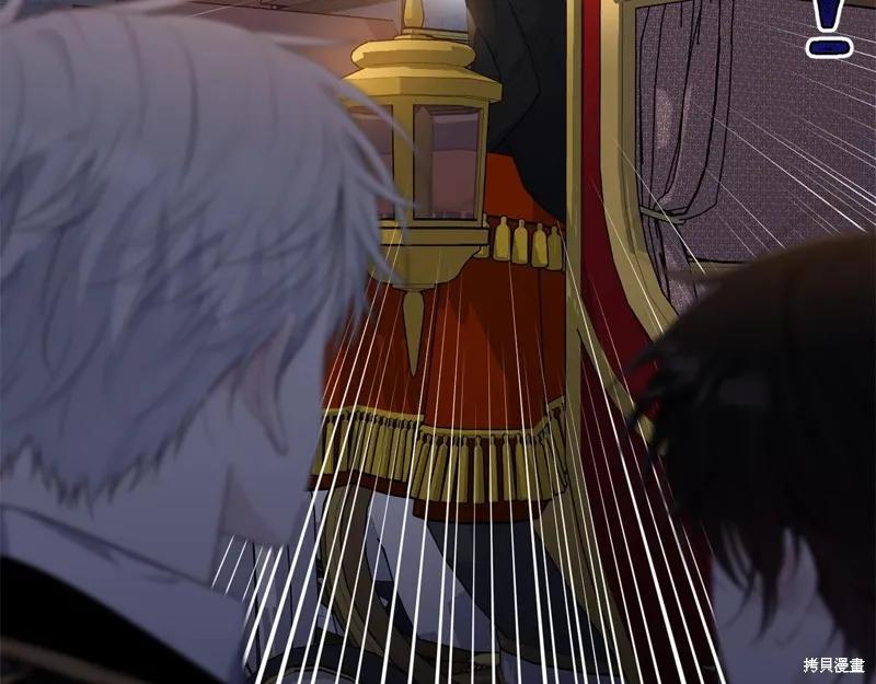 《明明是冷美人小姐却变成了忠犬大少爷》第74话 第114页