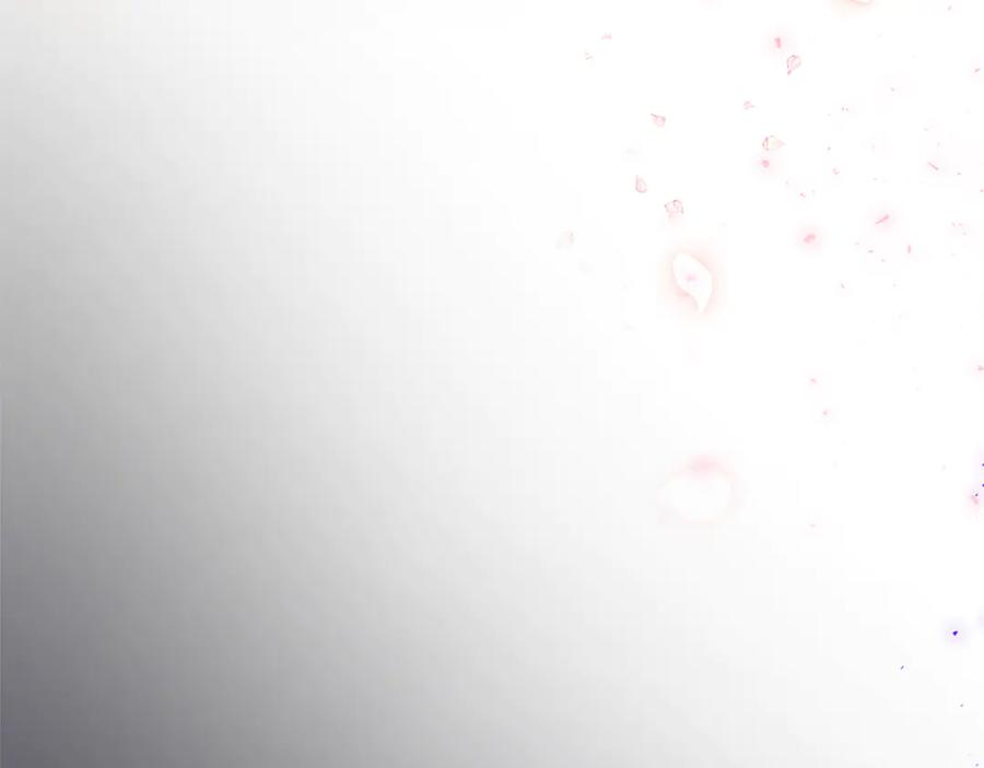 《陛下，这次由我来抚养！》第二话 儿子的信件 第28页