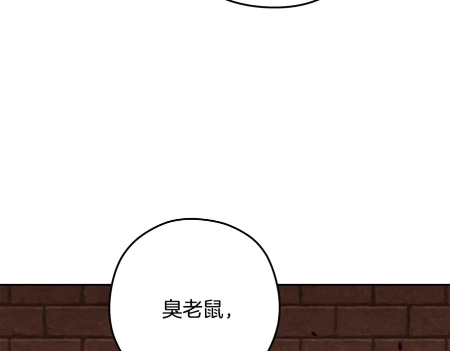 重启地下城 第242话 令人不愉快的陷阱 第34页