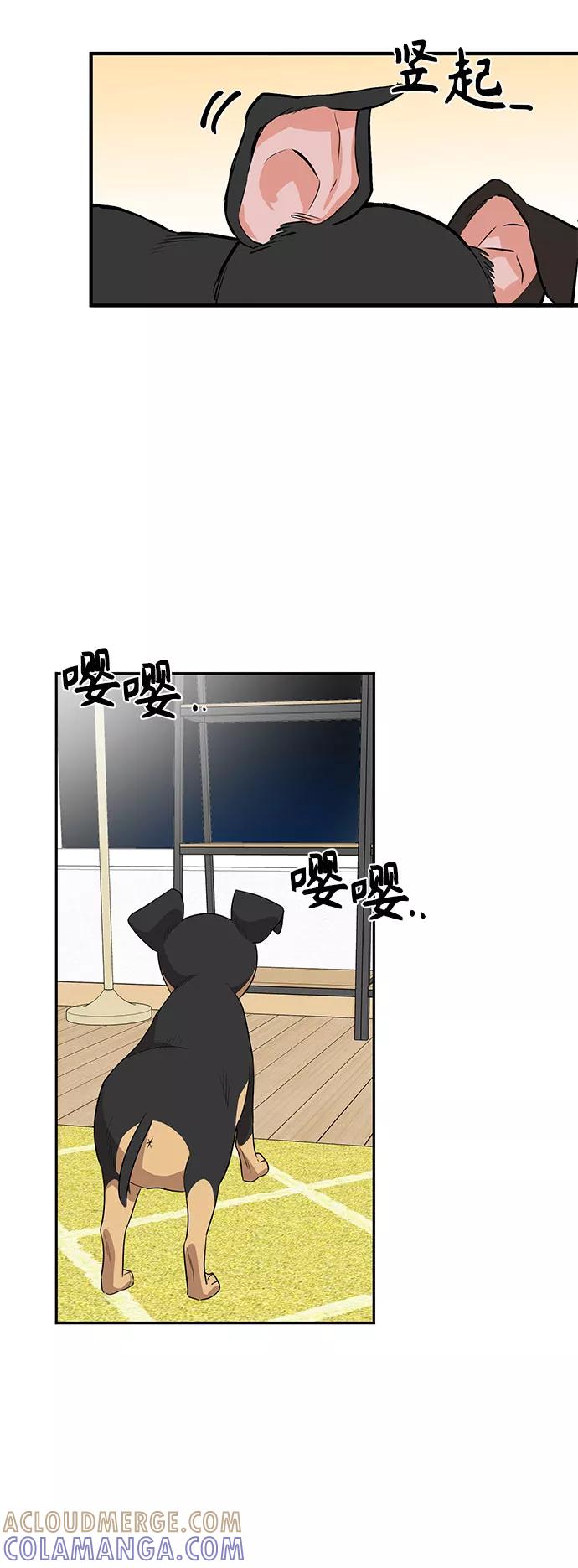 《守护骑士大人》第56话 第33页