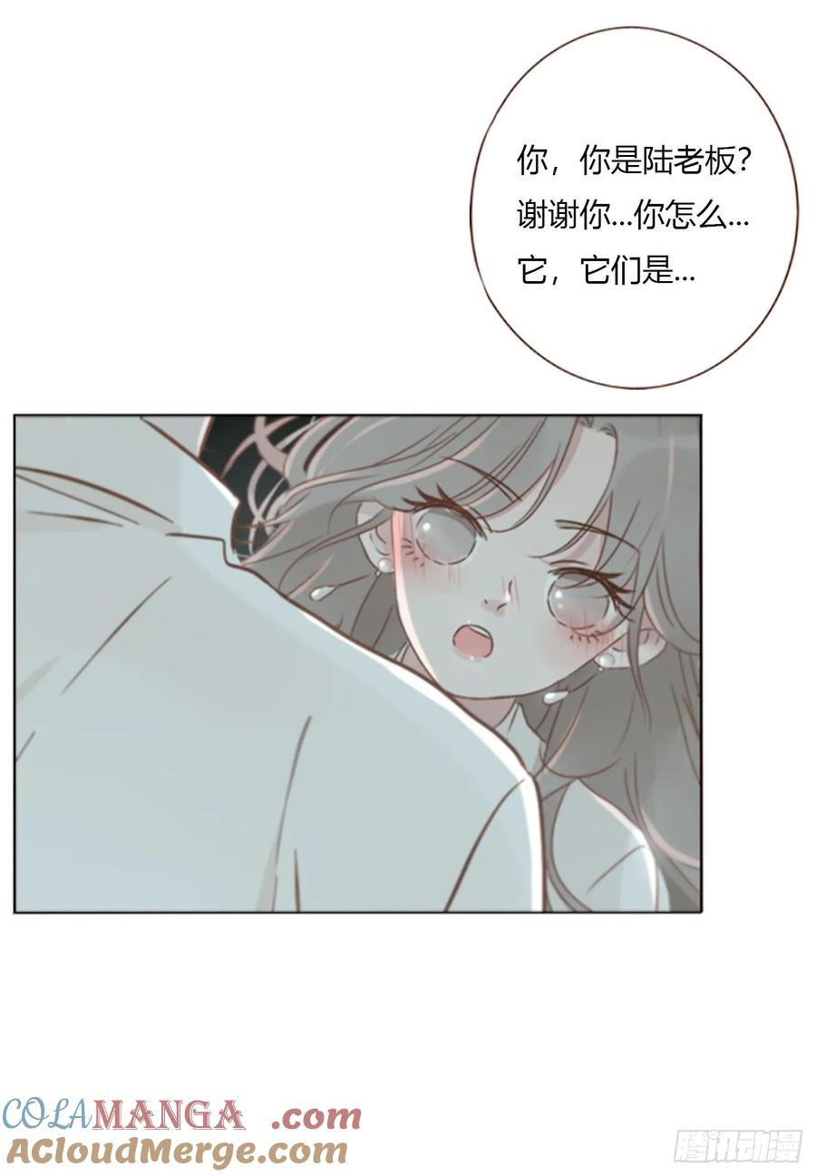 拥然入怀 一五一章 婚约 第21页