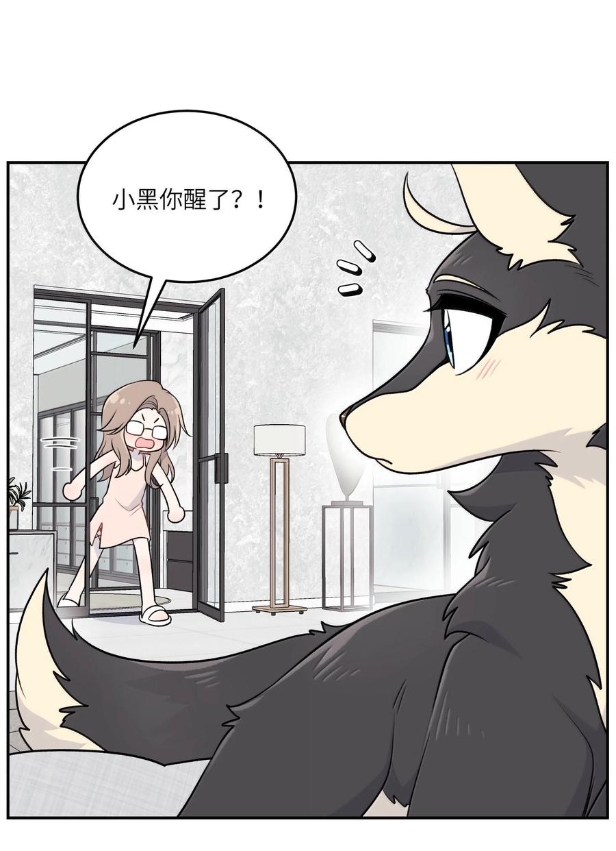 我的食物看起来很可爱 192 咬住衣角 第41页
