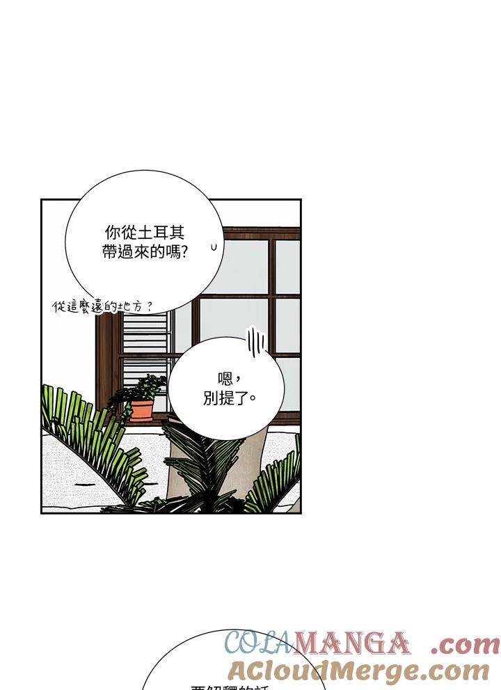 《纵然心痛》第48话 第52页