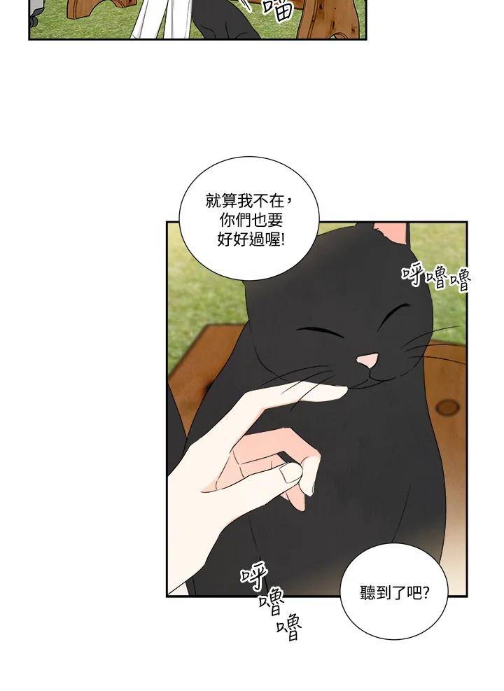 《纵然心痛》第54话 第11页
