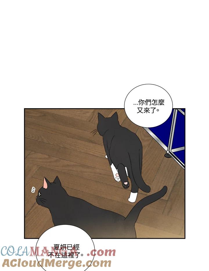 《纵然心痛》第55话 第43页