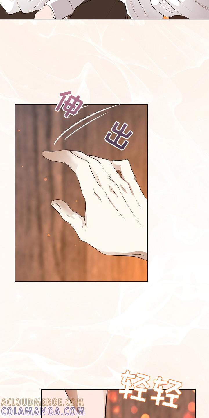 《冒牌恋人》第19章：很美 第19页