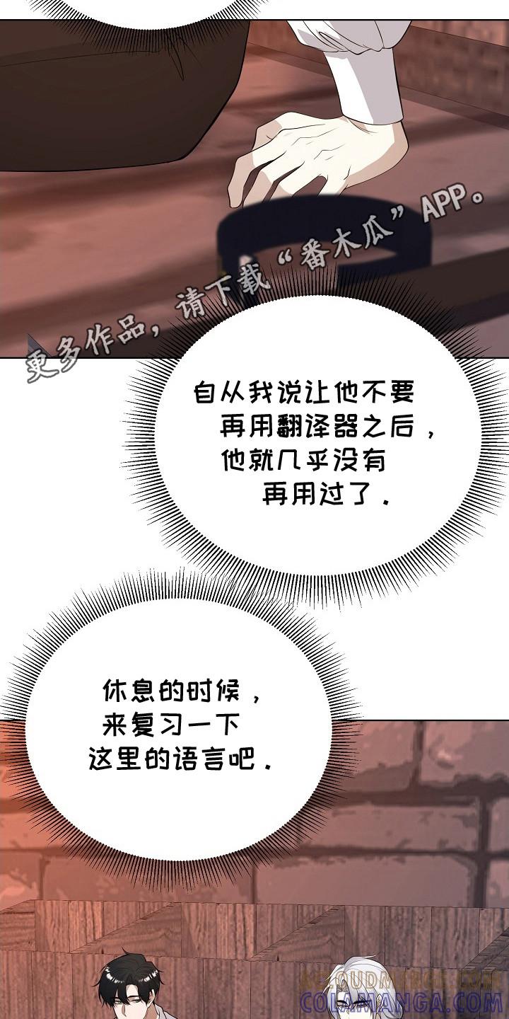 《冒牌恋人》第19章：很美 第5页