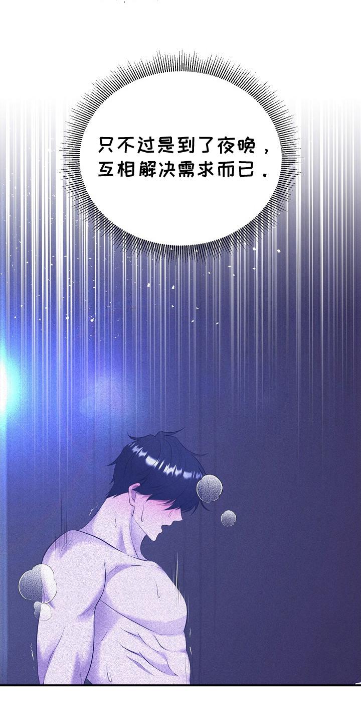 《冒牌恋人》第20章：祝福之语 第4页