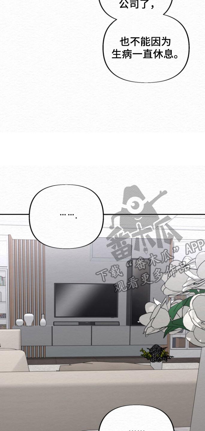 《给记忆添香》第29章：试探 第26页