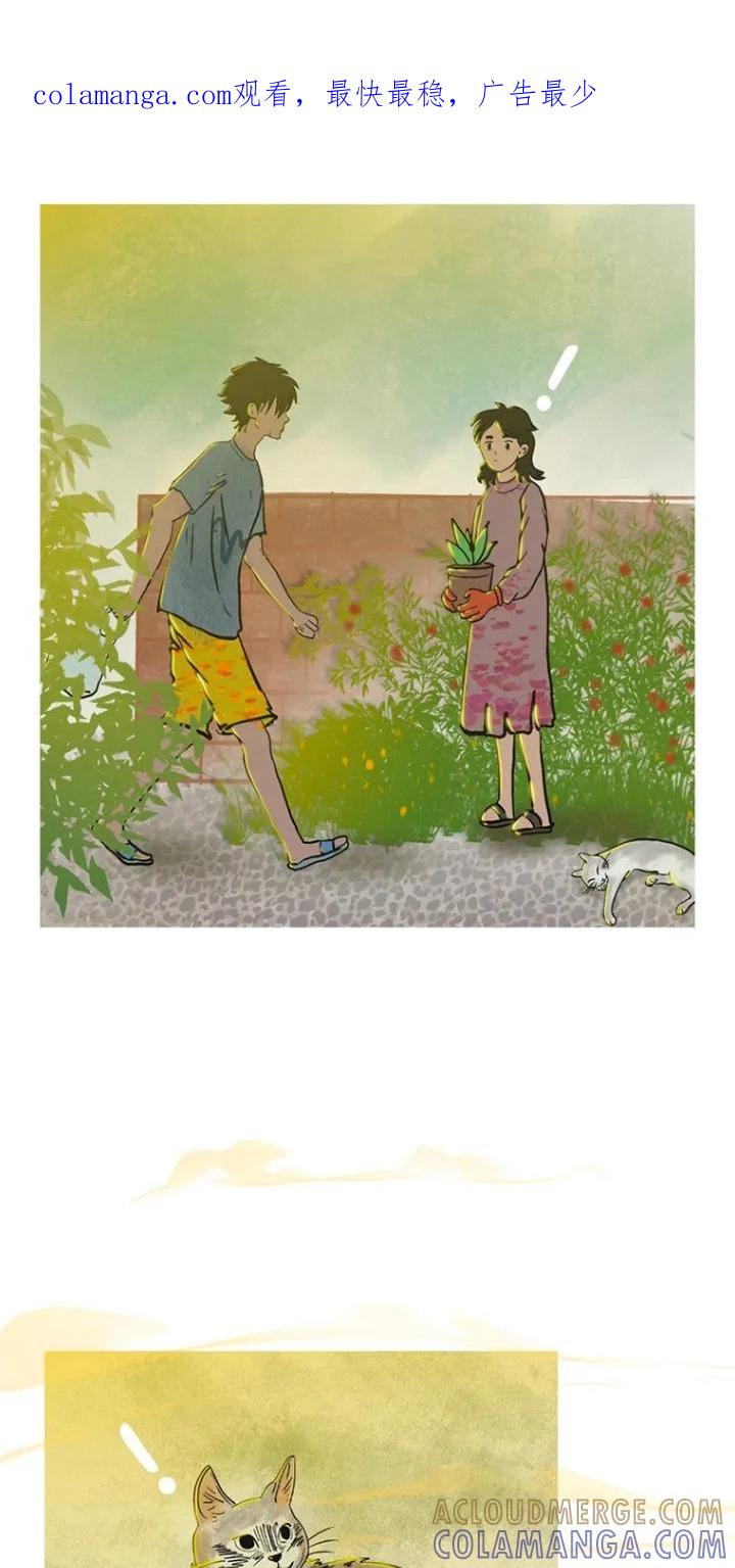 《剑拔弩张的我们》第3章：成交 第1页