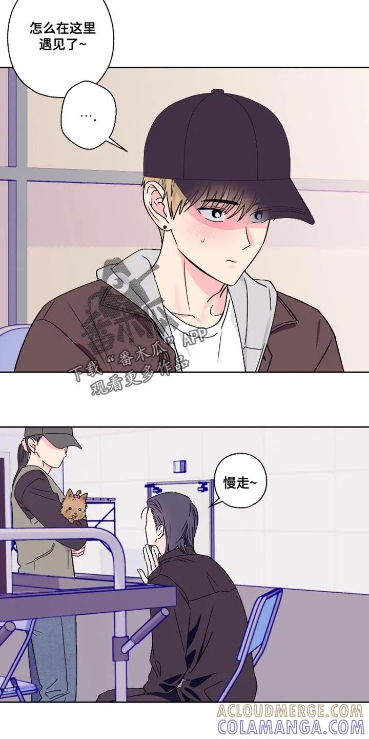 《倒霉经纪人》第82章：【第二季】愧疚 第17页