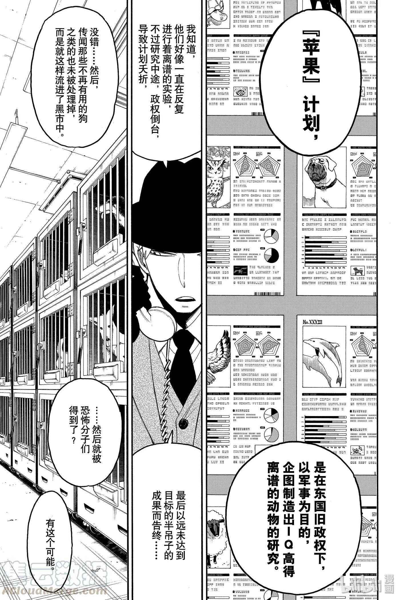 间谍过家家 19 MISSION 19 第7页