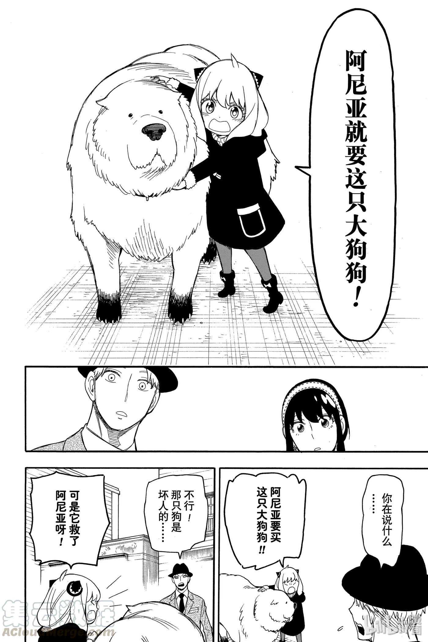 间谍过家家 22 MISSION 22 第16页