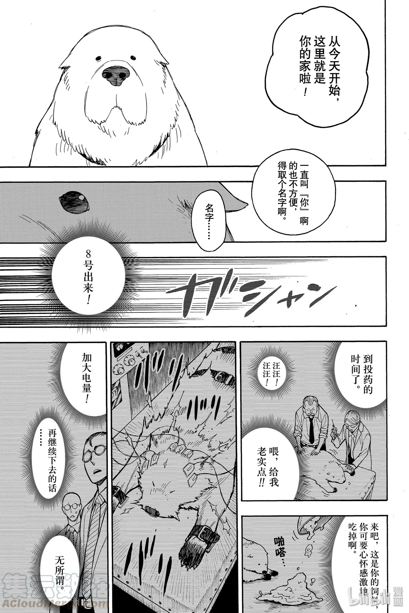 间谍过家家 22 MISSION 22 第25页